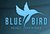 CARTUCHOS BLUE BIRD